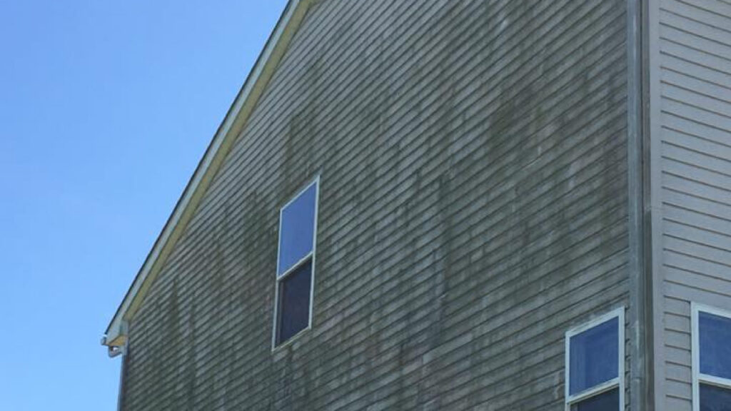 Dark Algae on Vinyl Siding