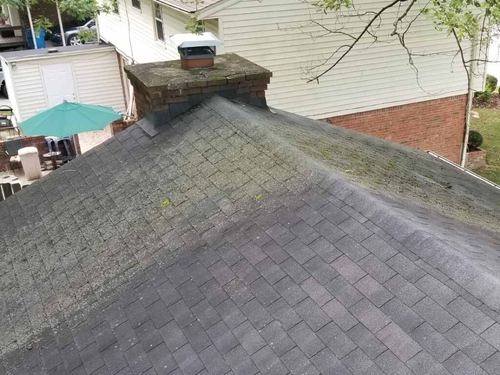 Algae on Roof