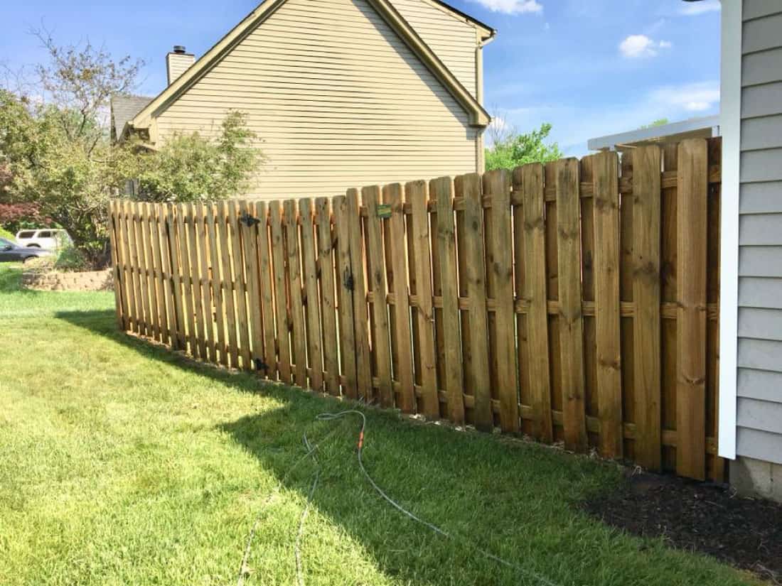 Fence Cleaning After