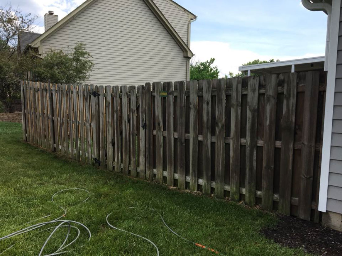 Fence Cleaning Before