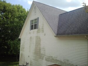 Algae on House Before