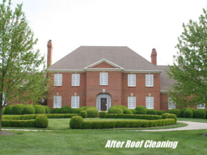 Large House Roof Cleaning After