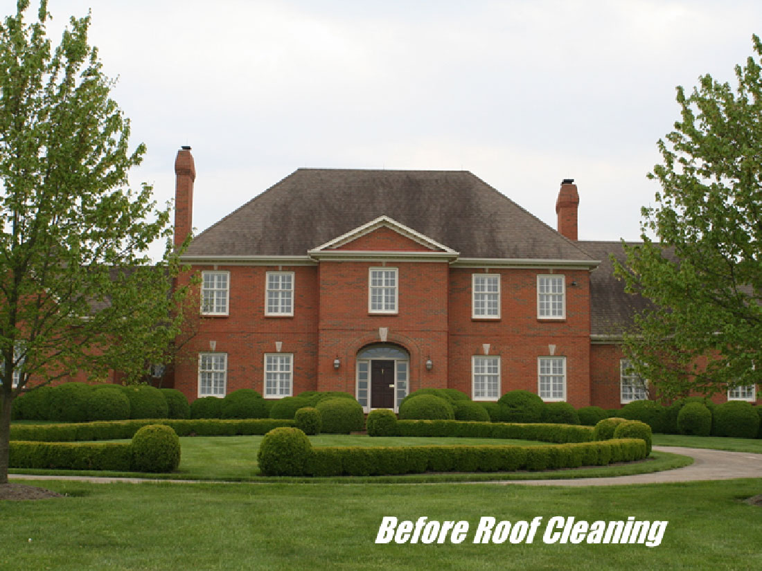 Large House Roof Cleaning Before