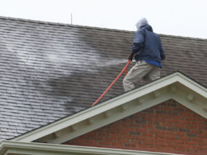 Guy on Roof Cleaning