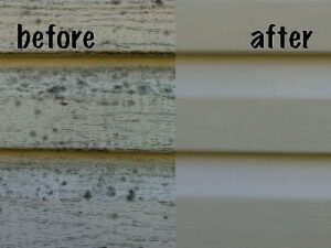 Siding Before and After