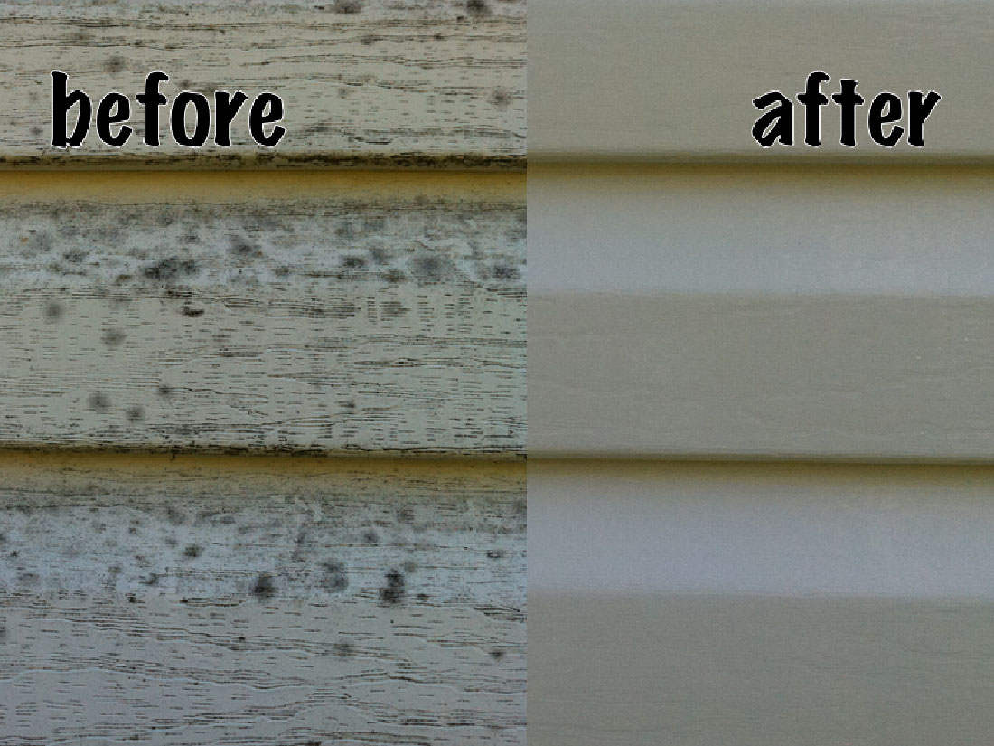 Siding Before and After