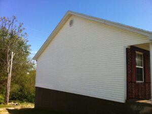 Vinyl Siding Cleaning