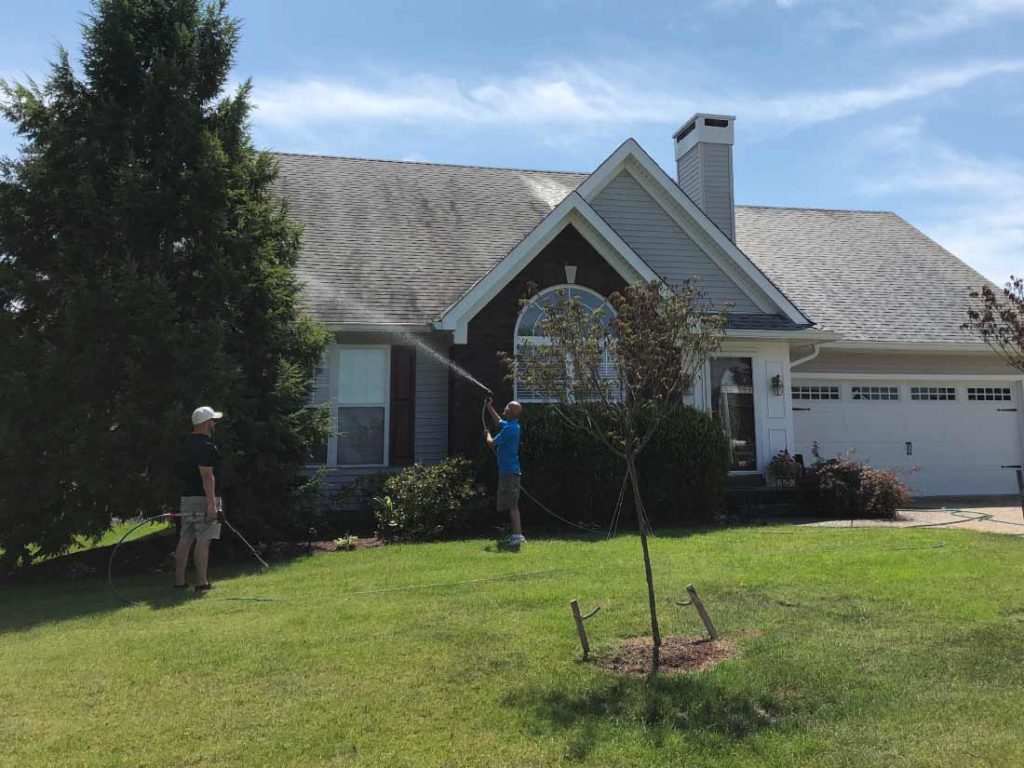 House and Roof Cleaning