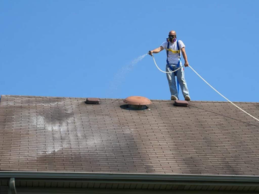Guy on Roof Cleaning