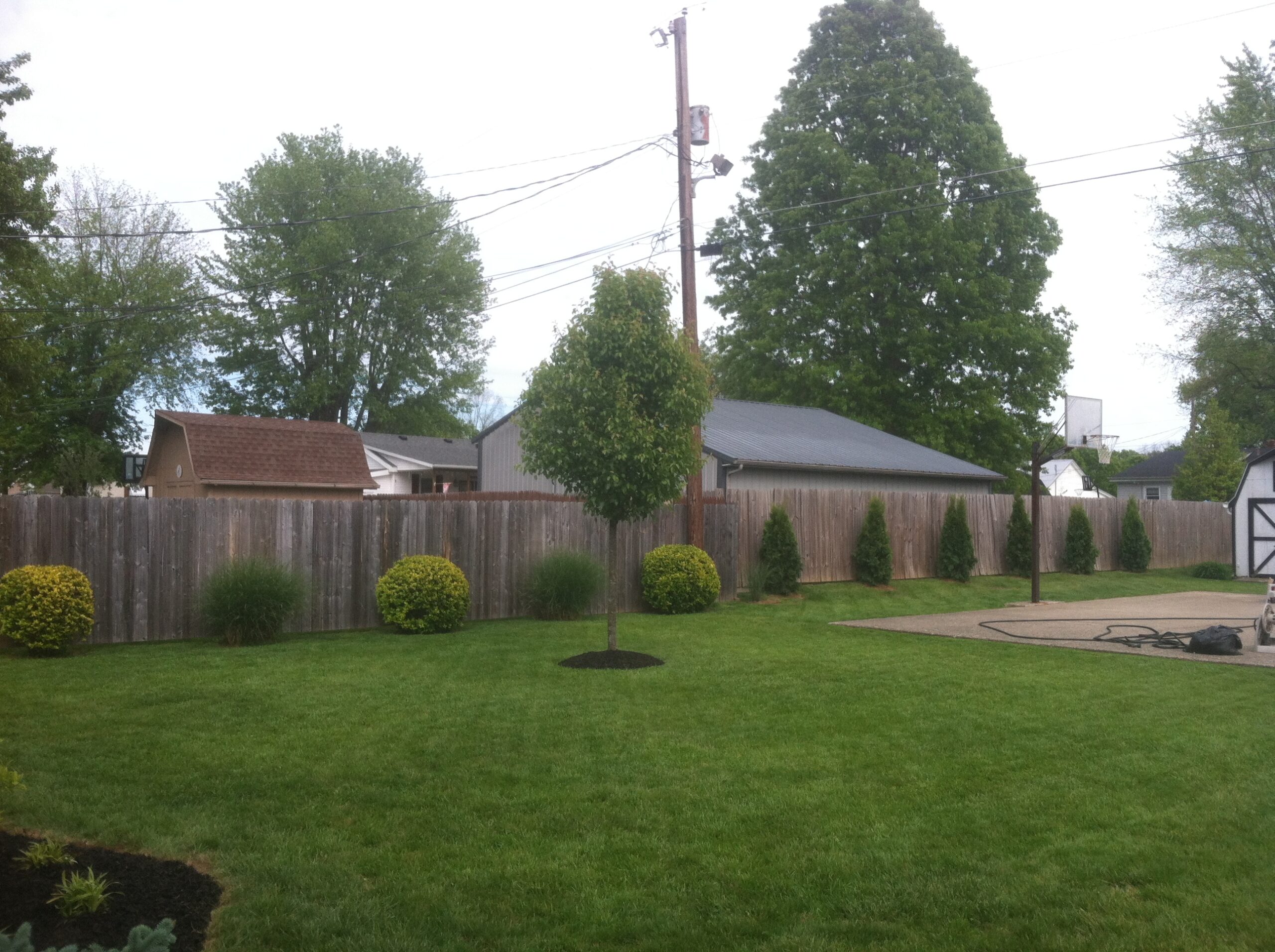 Deck cleaning Paris KY