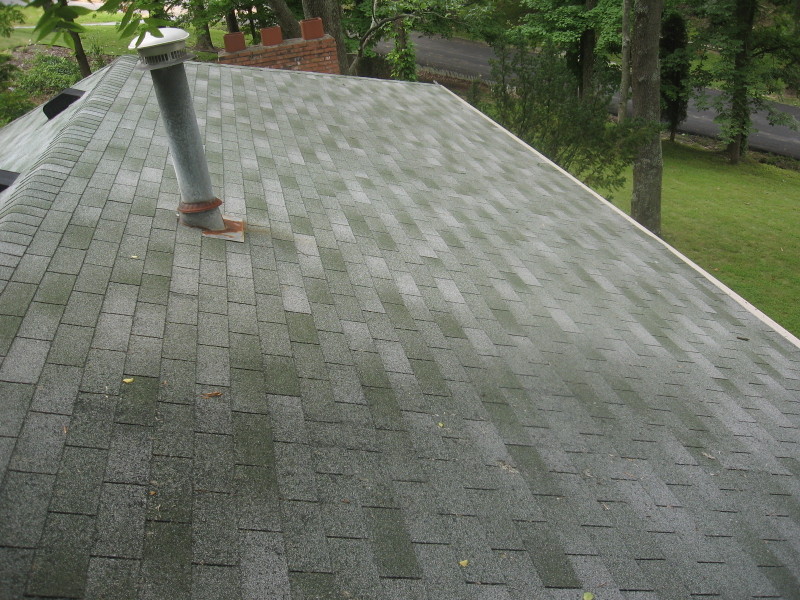 Roof cleaning Versailles KY